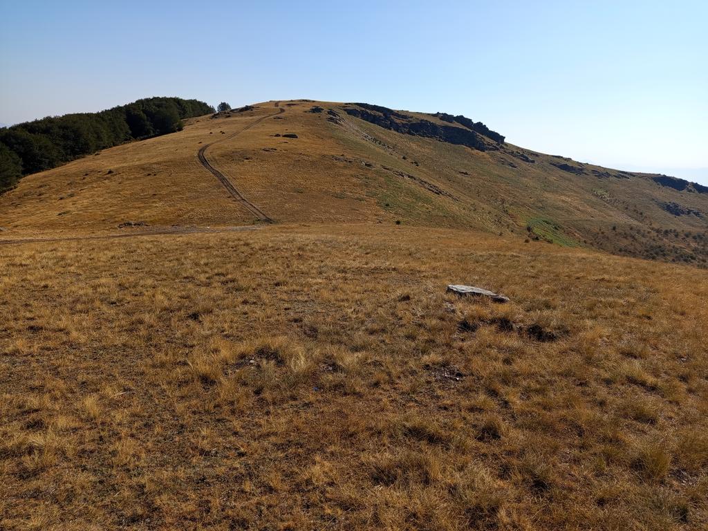 IMG-20260906-092311.jpg