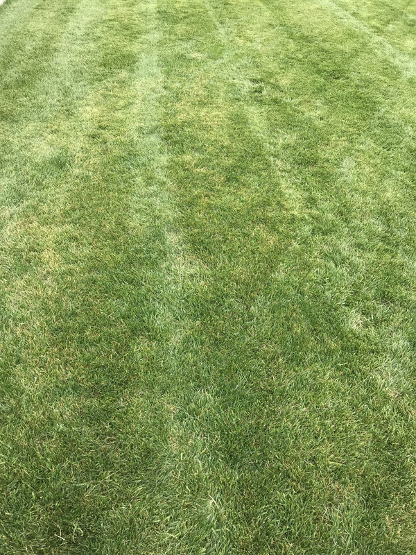 570F794F-F633-4B05-B6D2-DC2CCD8E9AAC