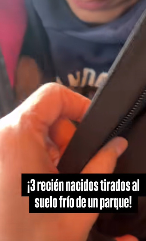 Foto cedida por Con Alma Protectora