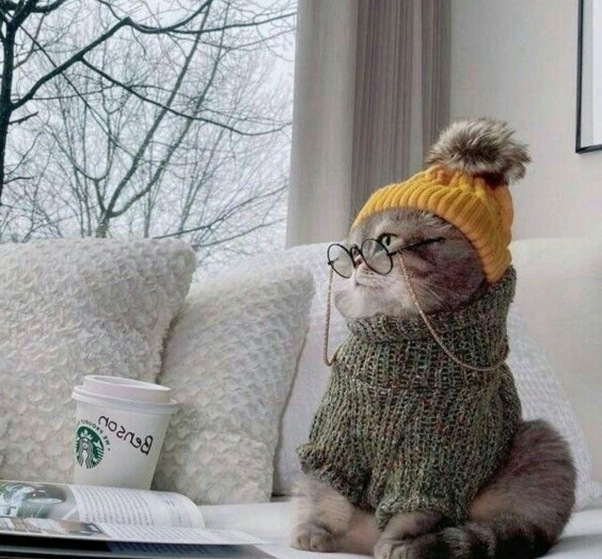 Screenshot_20221213-232059_Chrome