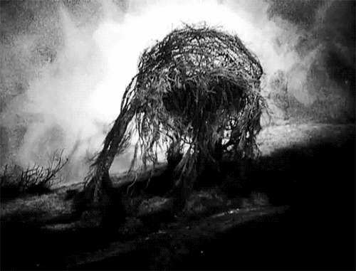 tumblr_mk8lm1TMeb1qmvy8zo1_500