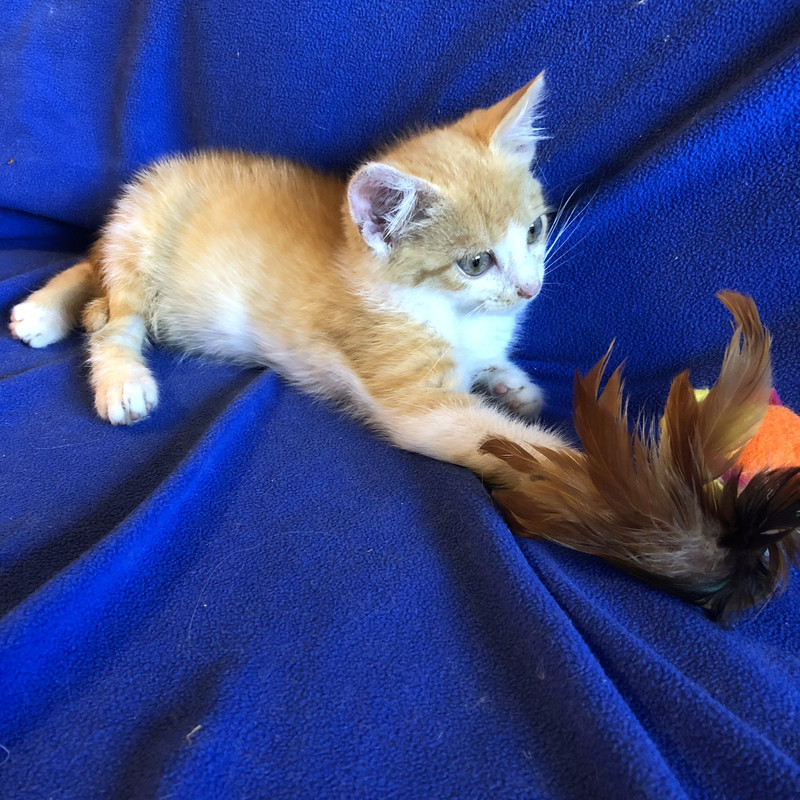 5BDBACF0-A8CE-4E6A-96FC-3F6B8F0F9F64