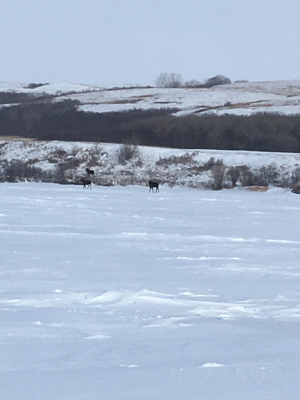 0F6673B7-FD66-4150-81DB-D629C06B8FE3