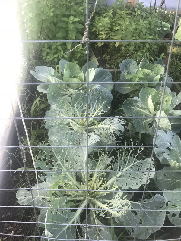 C74224A4-0909-4477-89C2-FA7336138DDD