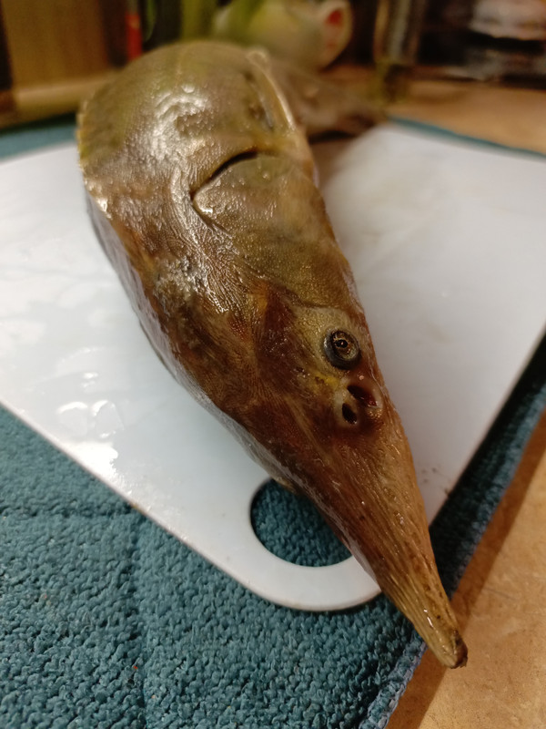 IMG_20231203_192557_768