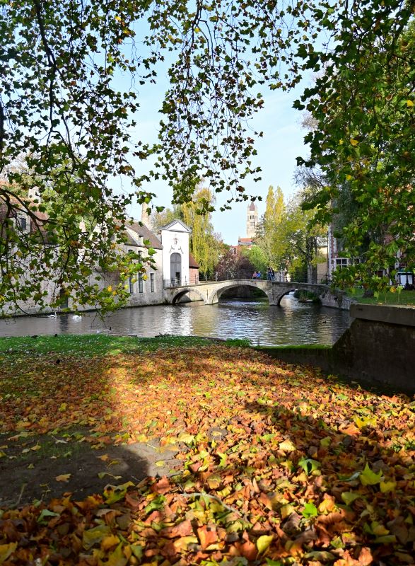 Otoño en Flandes - Blogs de Belgica - Día 2: El otoño en Brujas (13)