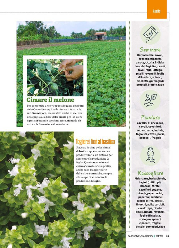 Pass Giar e Orto Giu 2025 (6)