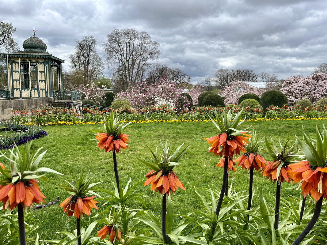 AE395579-D681-48C2-9619-EEA974DEA901