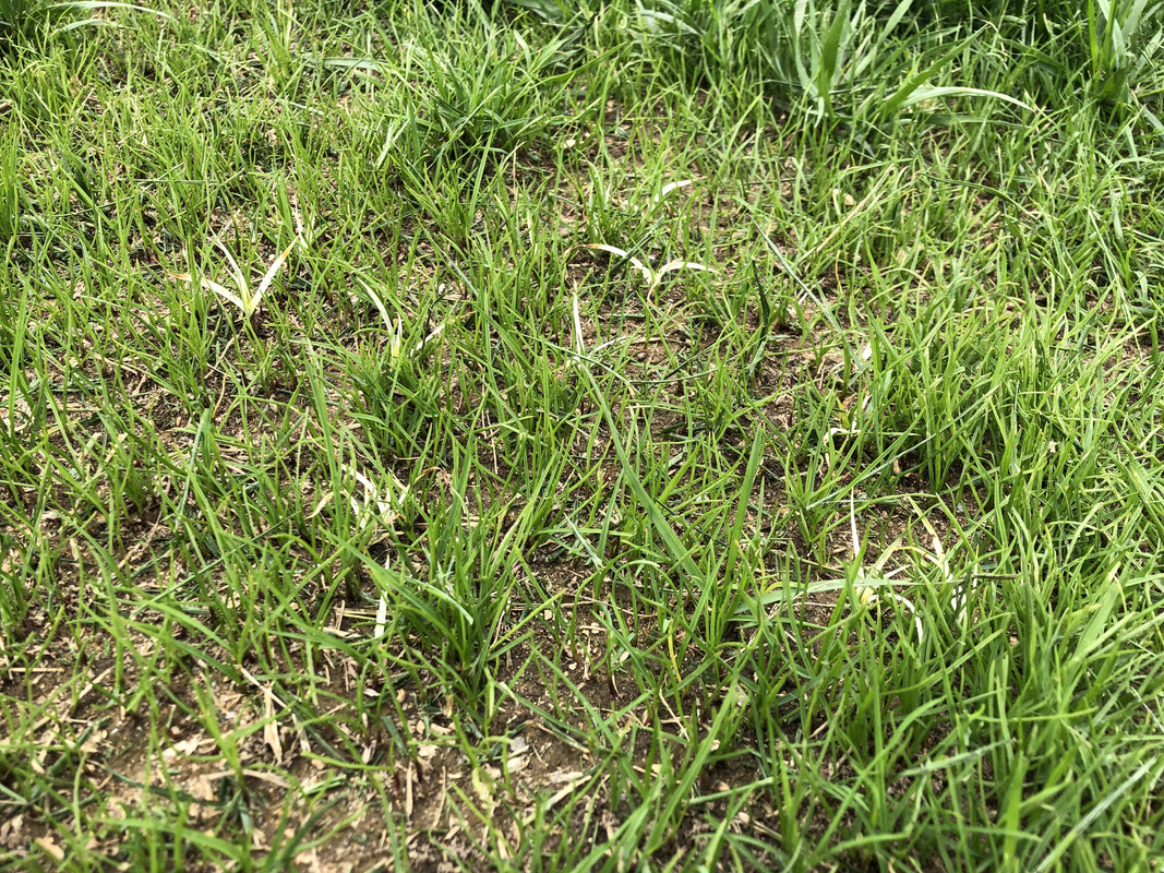 C1F8AF08-21A4-4FA4-BF25-B1BD9C46BF9A