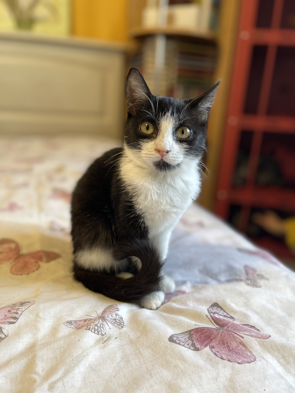 6190D3AA-6C9F-4932-B95F-E38582AEF889