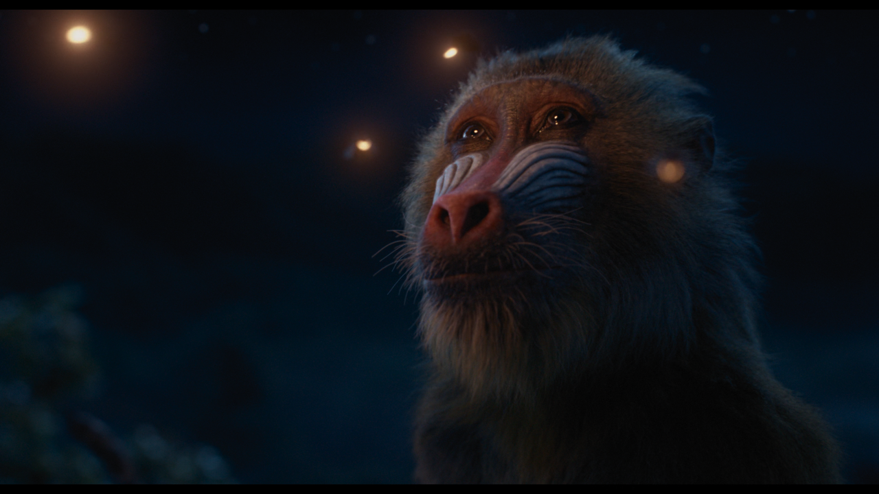 mpv-shot_MUFASA.THE.LION.KING.2024.2160p.UHD.BDRemux.HDR.DV.HEVC-Нечипорук_00_51_30_0010