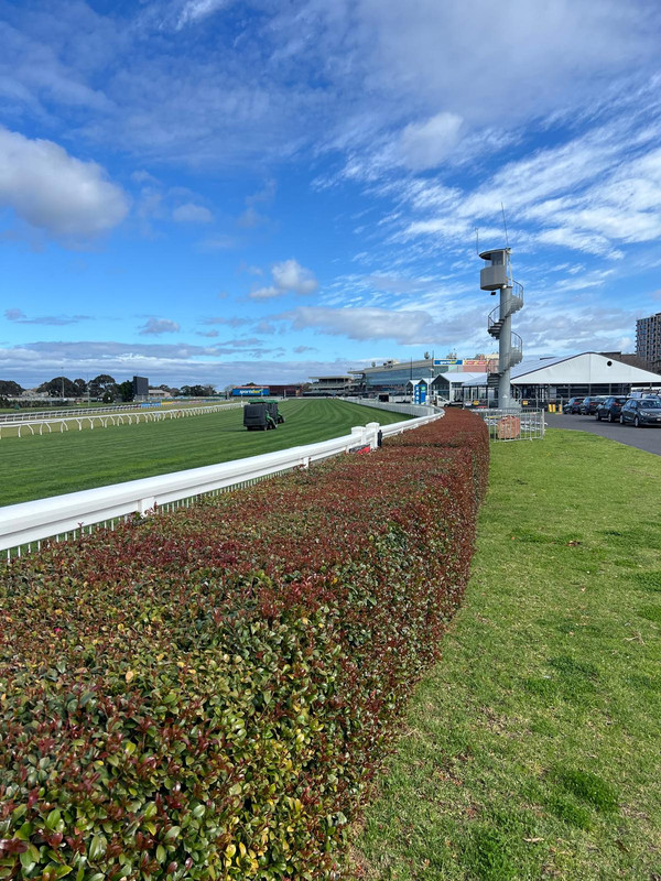 Photo 10-9-2025, 9 26 00 am (9)