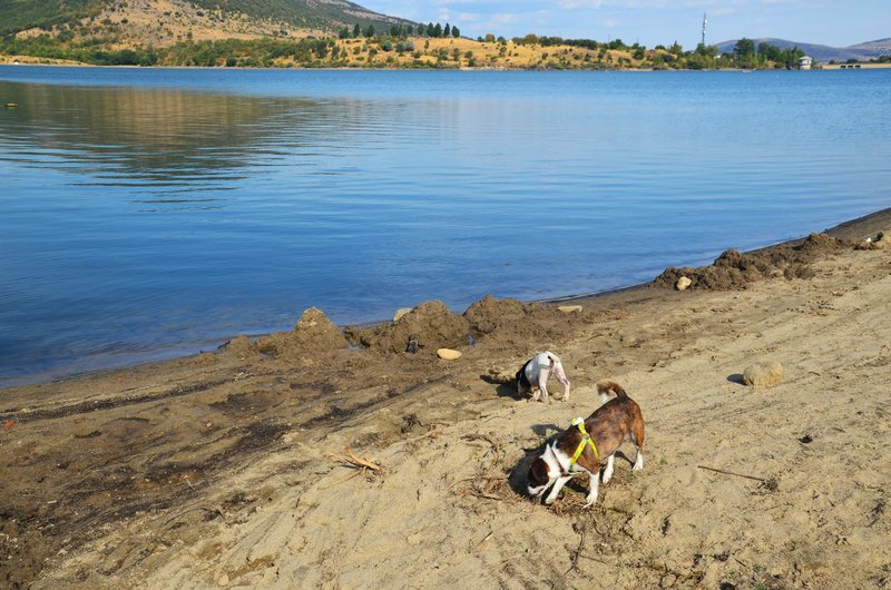EMBALSE DE LA PINILLA-10-9-2016-MADRID - Paseando por España-1991/2016 (17)