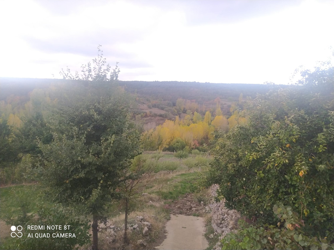 IMG-20221023-WA0009