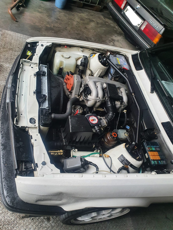 WhatsApp Image 2022-04-20 at 21.32.22