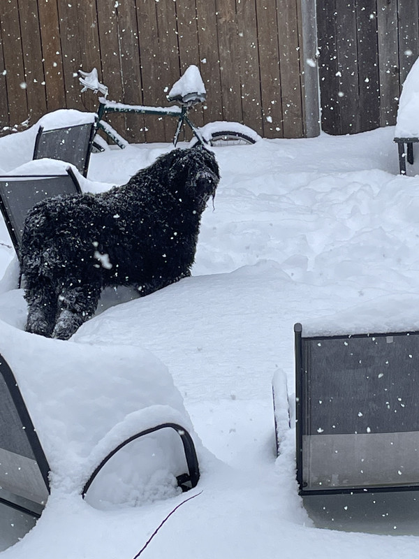 7EA2F96B-58A6-4CAC-B019-C093E6B9EB1E