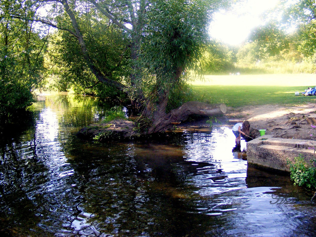 child-creek-henley-HD.jpg