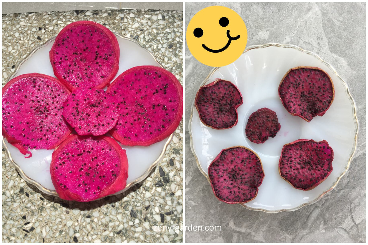 dragon-fruit-dehydrated.jpg