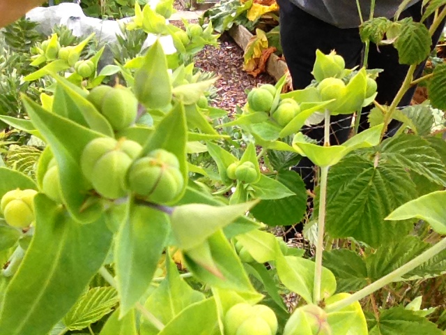 D29C20C8-2EBE-42F0-AC1B-E36611ED885E