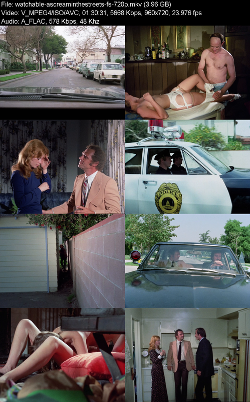 a-scream-in-the-streets-1973-fs-720p-blu