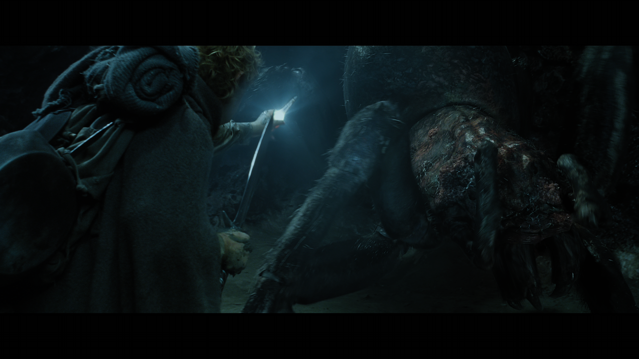 The Lord of the Rings- The Return of the King (EXT.) PT. 2.mkv_snapshot_00.18.48_[2020.12.19_21.16.1