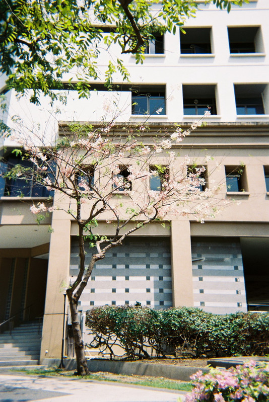 Fuji-Quick-33-resized