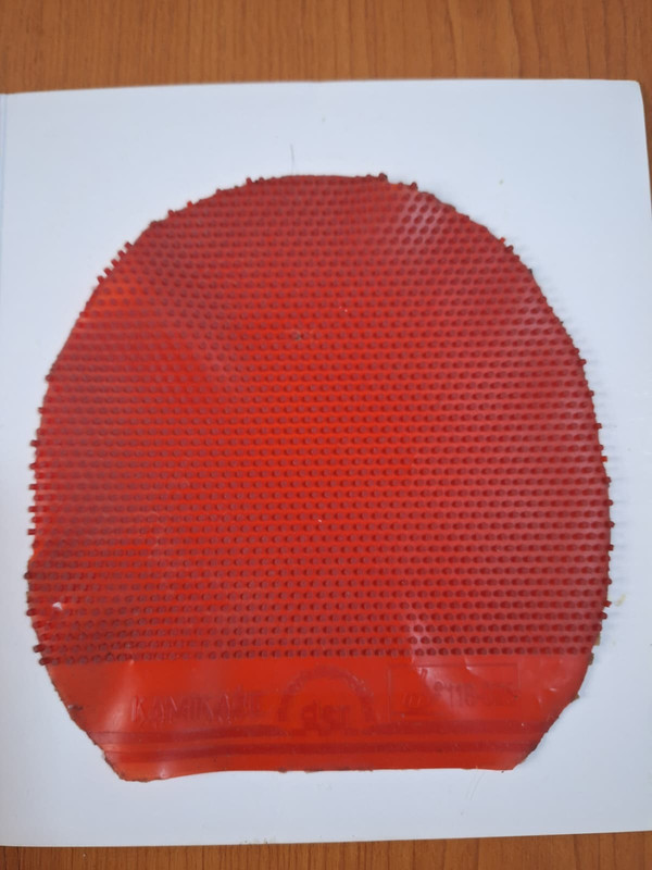 WhatsApp Image 2025-10-10 at 00.40.12 (1)