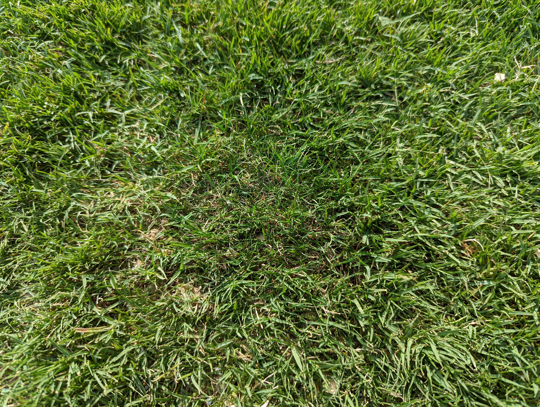 PXL_20220519_141550612