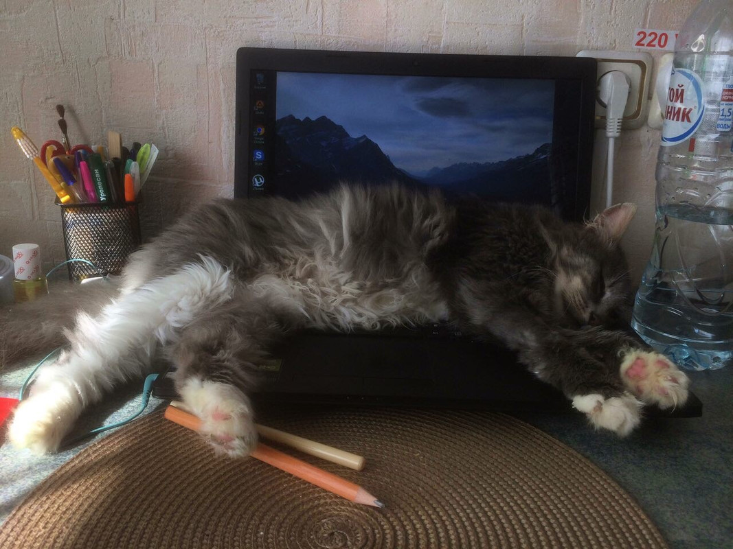 0C925789-01C2-4186-BF77-999D7639D7D5