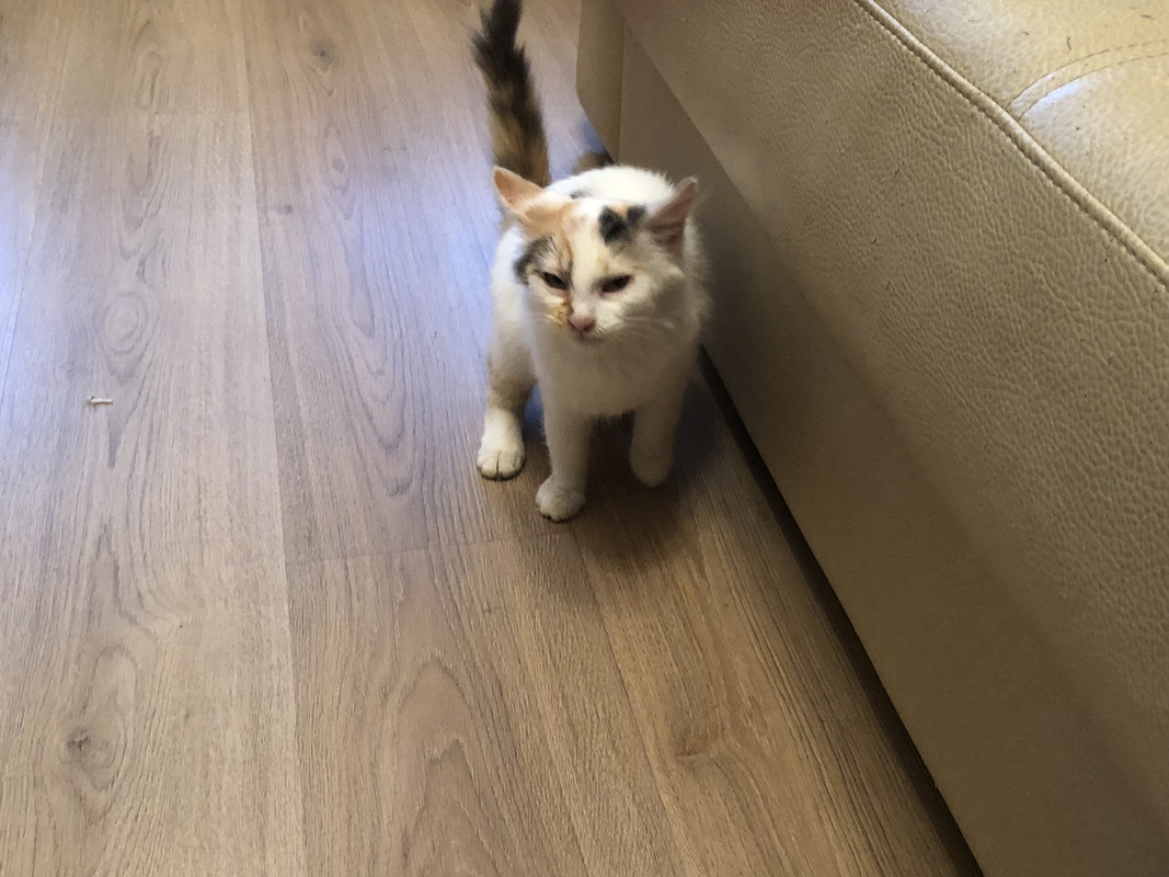 E6C475A1-17F1-4B7D-B206-69A37CC8FE92