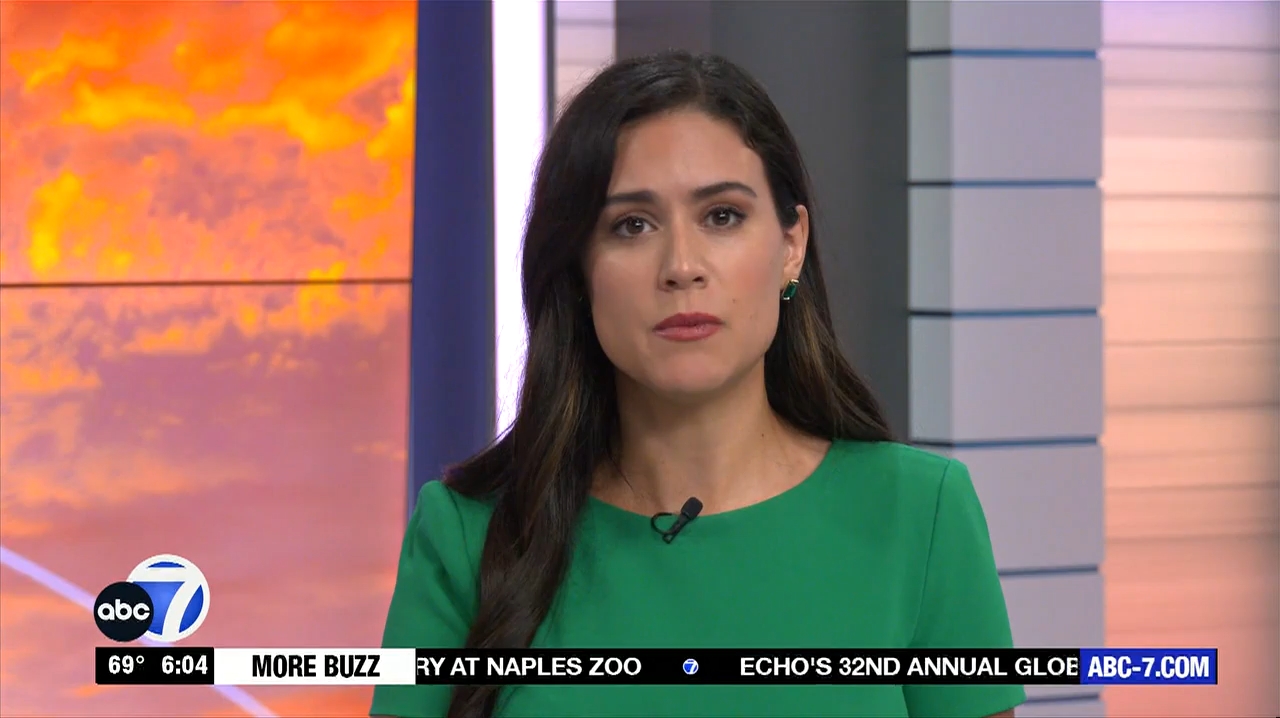 Abc7 More In The Morning Wkn 6Am Su 20240317 10001100-1.mp4_snapshot_05.29.342