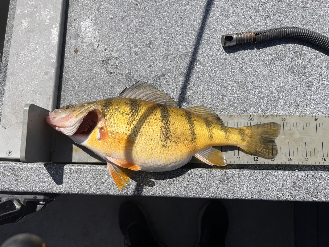 4B6EC6FC-4269-4C5B-9CD6-EF3043E9272F