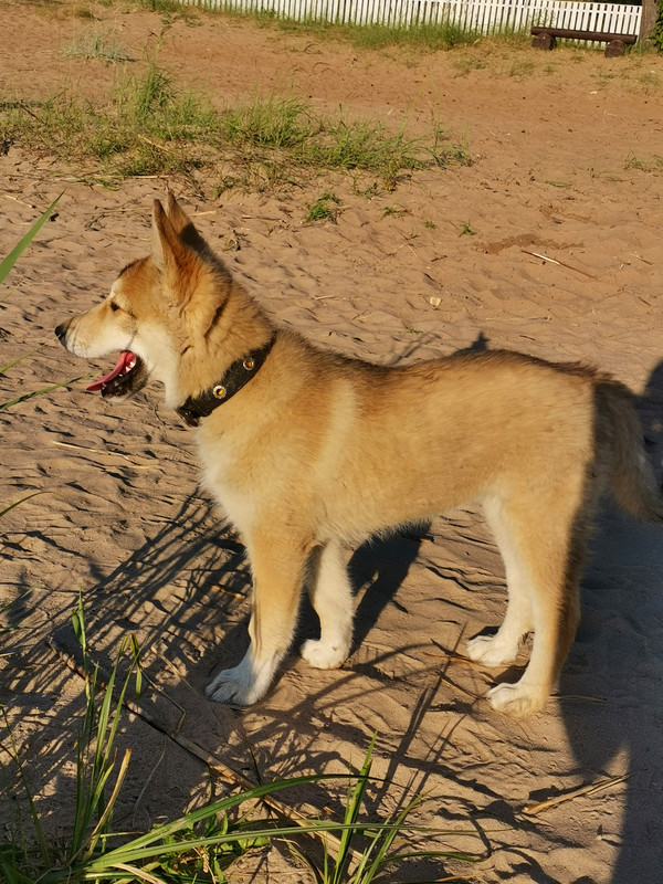 IMG-20220704-193724-edit-14540811498301