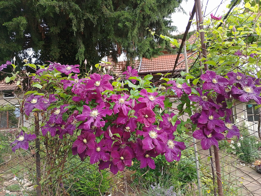 IMG_20230529_172459_HDR