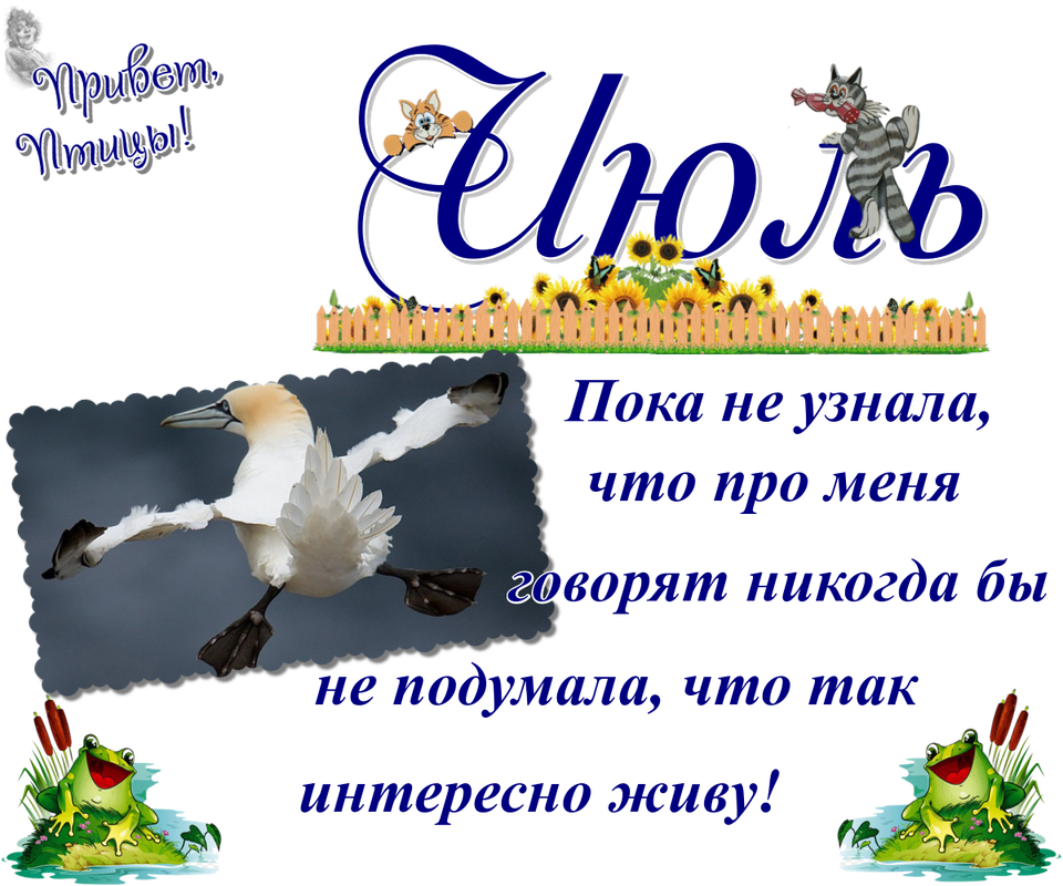 https://i.postimg.cc/pV6TGnXL/13-07.png