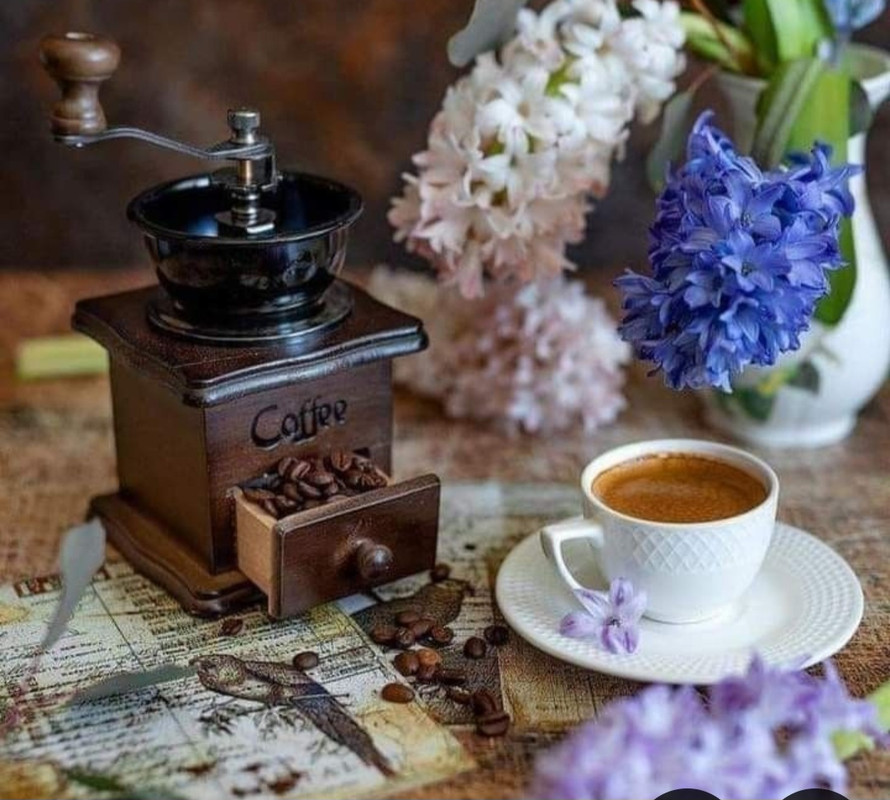 Screenshot_20240715_160520_Pinterest