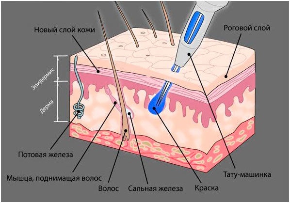 Напыление бровей — что это такое, фото до и после, сколько держится эффект, отзывы