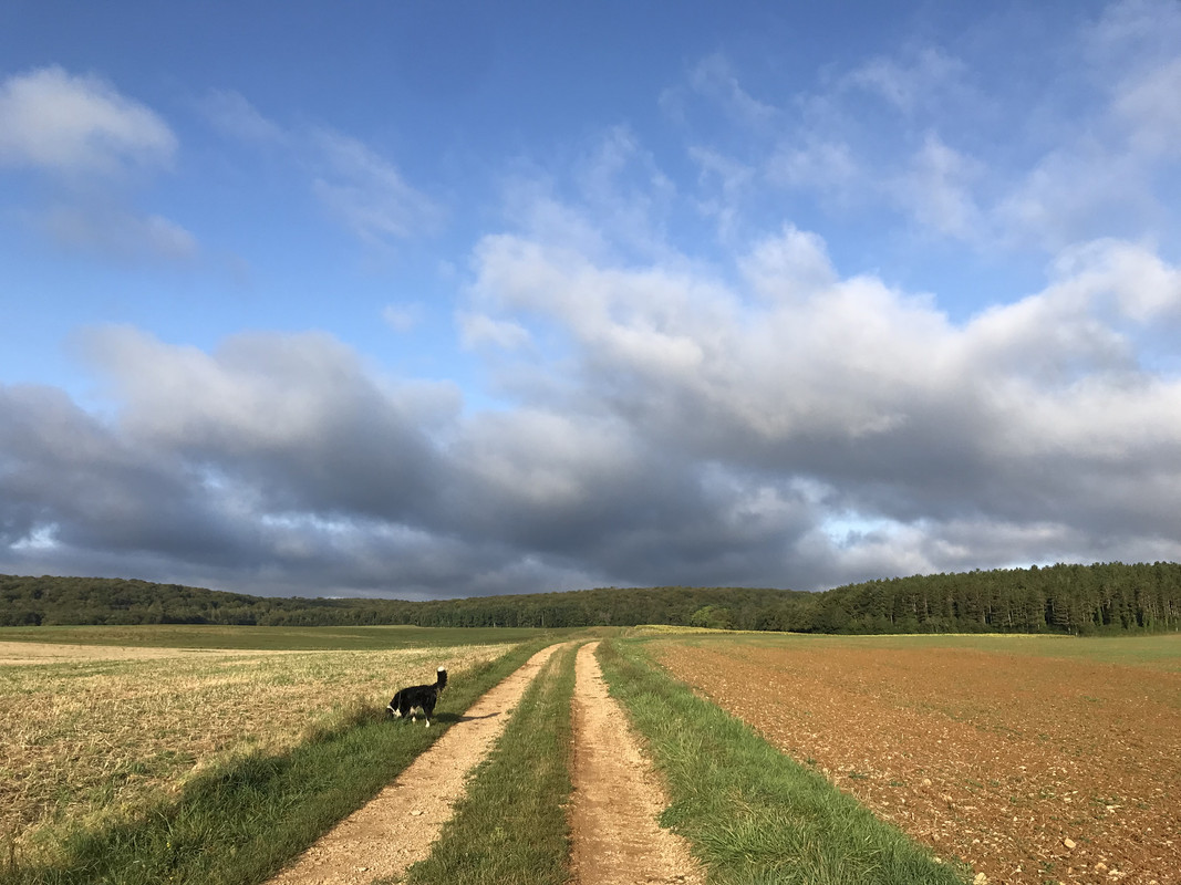 D7E0BC64-FEB7-4EB2-B502-54650DBCBA35