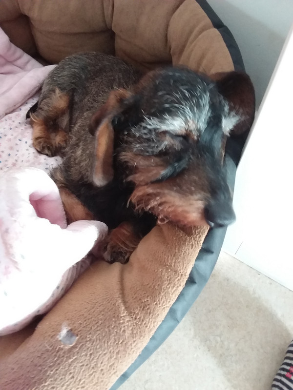 [Image: 20230930-154758.jpg]