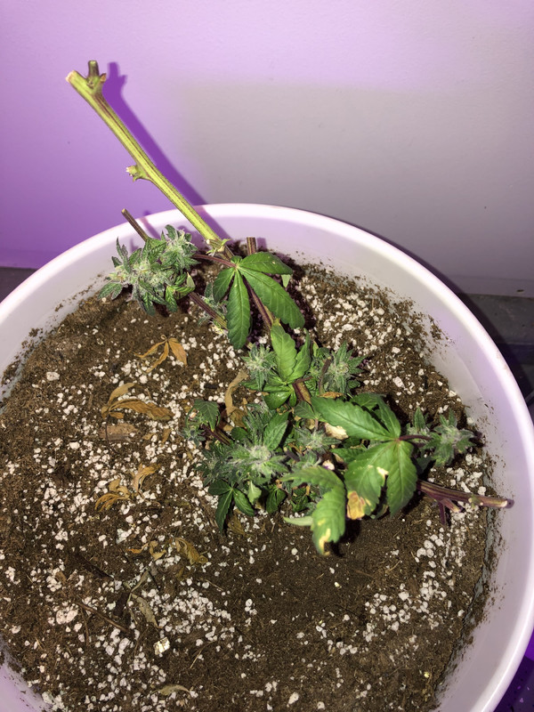 739DC7BA-0E31-4B90-BB50-2206C8841187