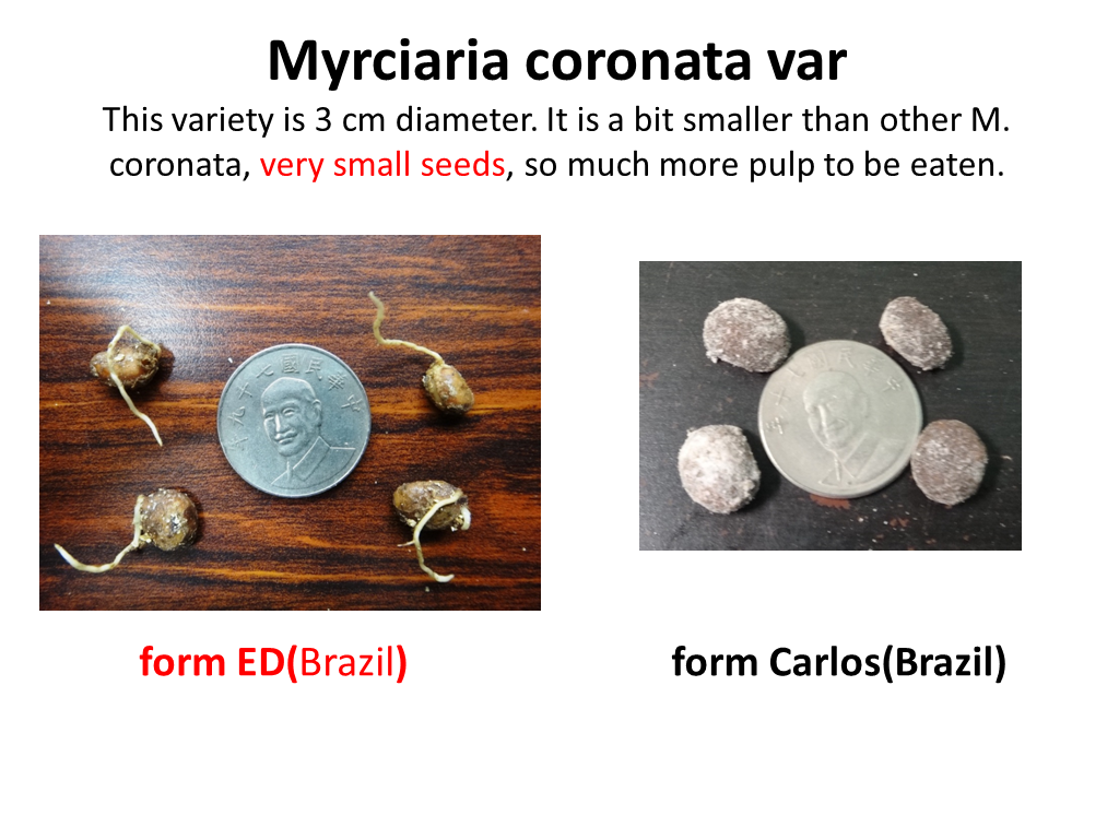 螢幕截圖 2013-12-20 10.33.23