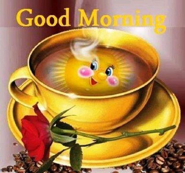 An den Beitrag angehängtes Bild: https://i.postimg.cc/pV7wT247/oie-3183465-Ij8-MNe-B.jpg