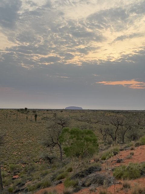 El abrazo a Pearl - Blogs de Australia - Kata Tjuta - Las Olgas (2)