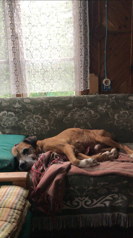 64950815-FB25-4365-9950-1BDC2B1763C5