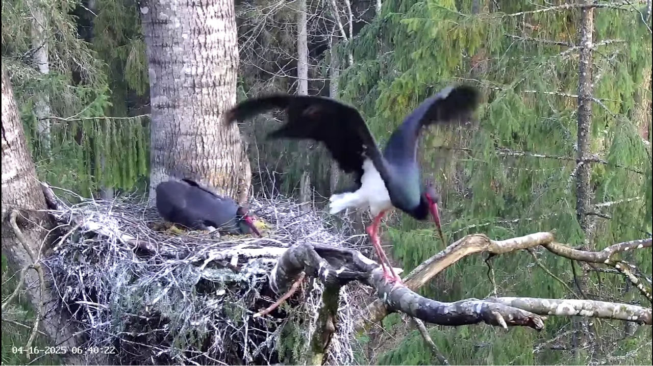 Ekrānuzņēmums 2025-04-16 064611