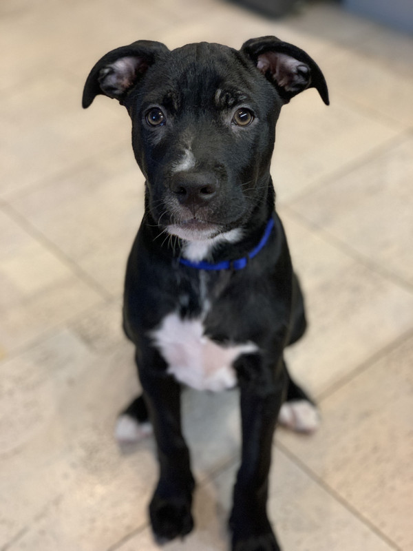 25CE30C9-B513-430F-A6A9-2E9F39DA1049