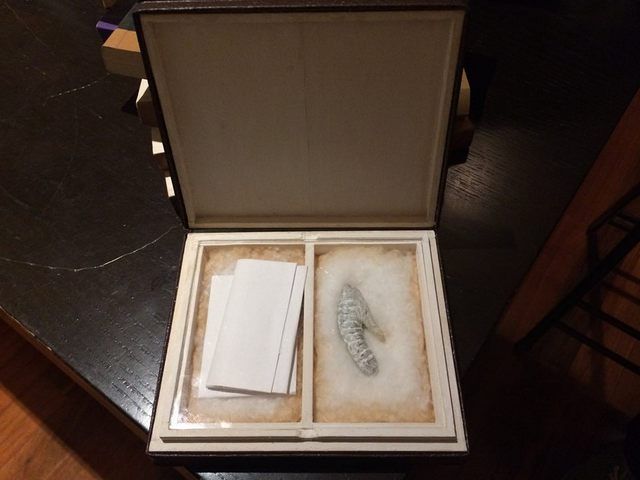 napoleon-penis-tony-perrottet-replica-nyc1.jpg