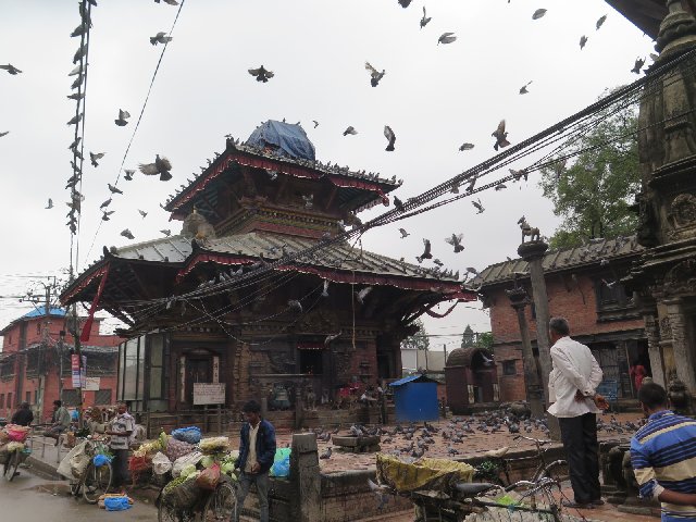 Día 4- Katmandú: "Patsupatinath", Kopan y Boudhanath de día y de noche - INDIA Y NEPAL POR LIBRE: 21 INTENSOS DIAS Y UNA TOTAL AVENTURA (1)