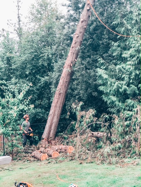 !cid_8E1AE6C2-E2D7-41FD-80F5-4B946D6BF555-L0-001