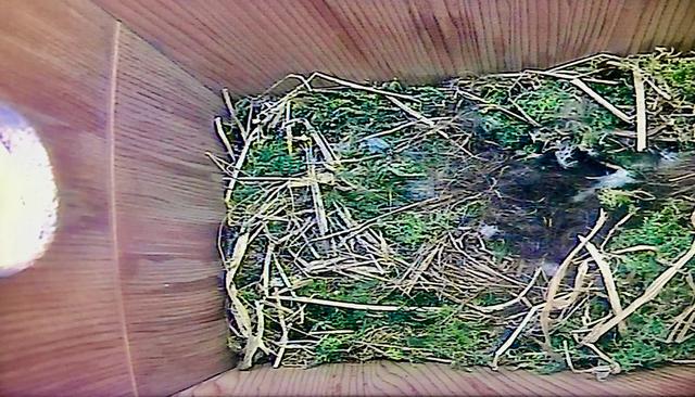 21D329B1-A137-419A-BA3F-63C512C7EBA8